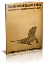 Download The Bearded Dragon Guide
